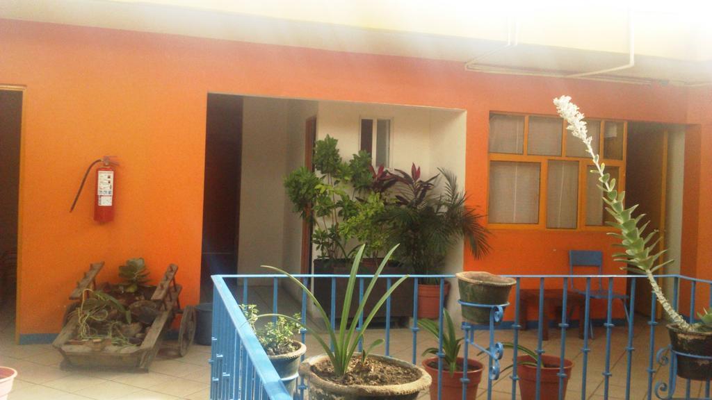 Hostal Zipolite Arteaga Oaxaca Екстер'єр фото
